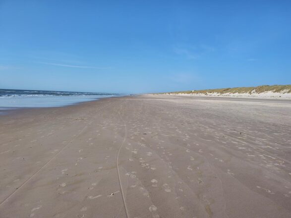 Endloser Vejers Strand