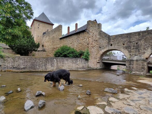 Bad Münstereifel