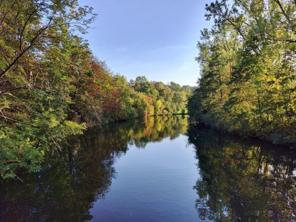 Entlang der Enz nach Bissingen