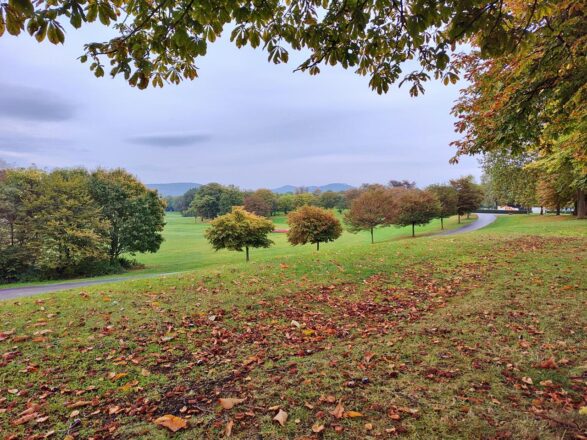 Herbst im Rheinauenpark