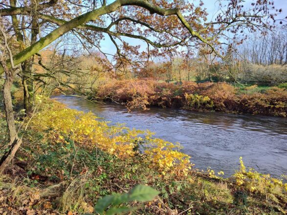 Nasse Füße an der Wupper