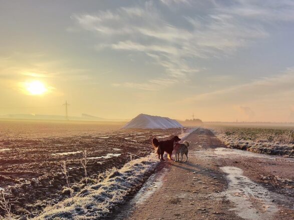 So macht der Winter Freude