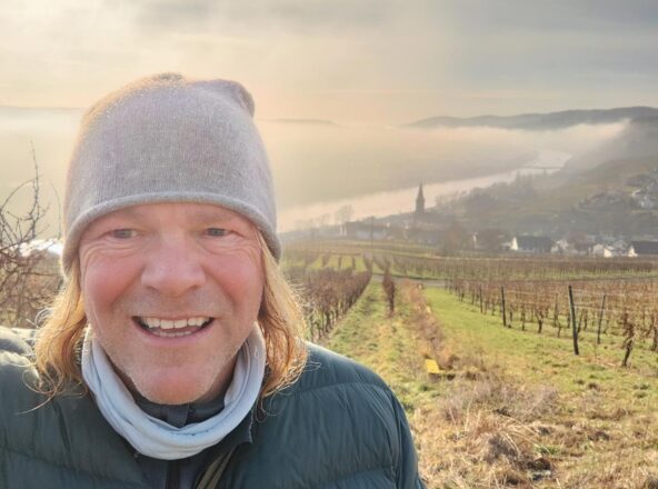 Weinberge bei Lieser