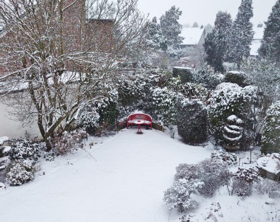 Abendspaziergang im Schnee