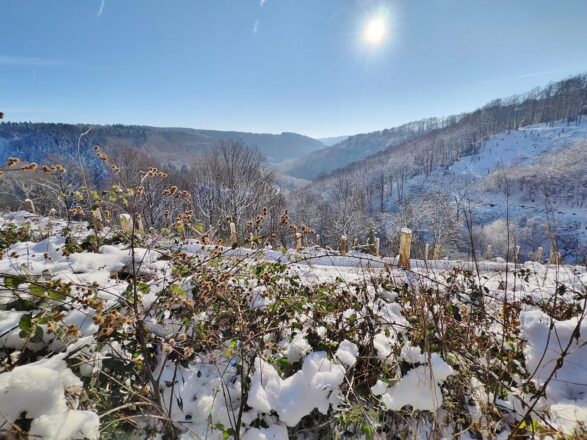 Weiße Pracht im Bergischen Land