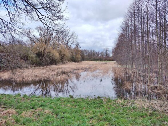 Rund um den Büttger Wald