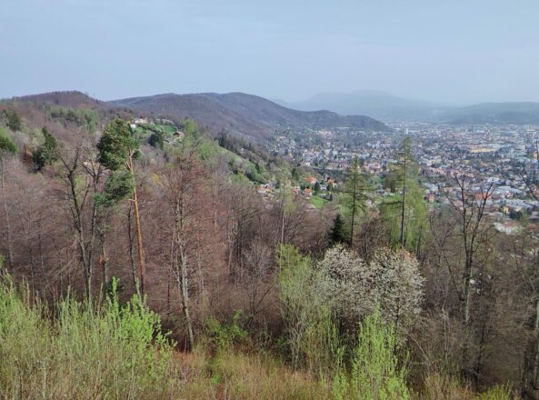 Nauf auf den Buchkogel