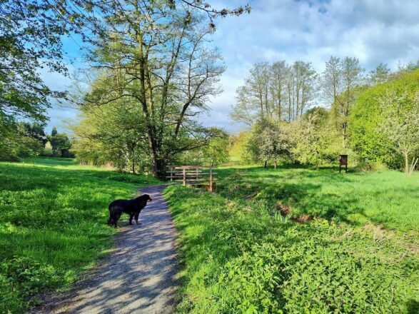 Frühling im Lipperland