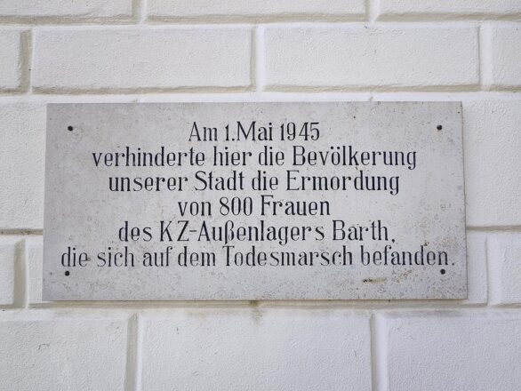 Die Mutigen von Ribnitz