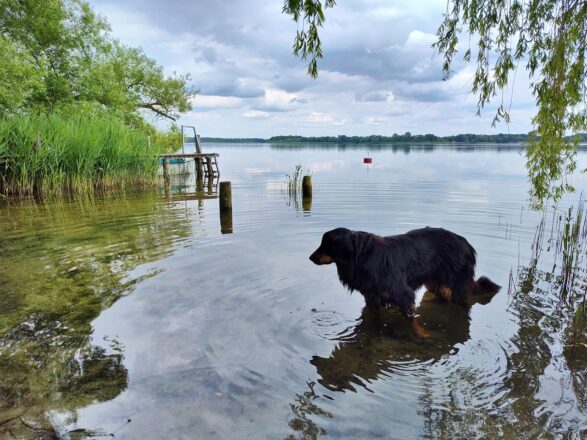 Schöner Schaalsee