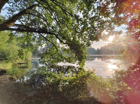 Morgensonne über dem De Wittsee