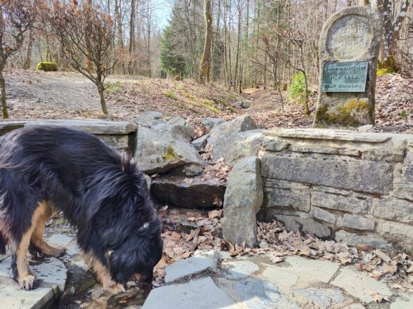 Ruhrquelle Winterberg