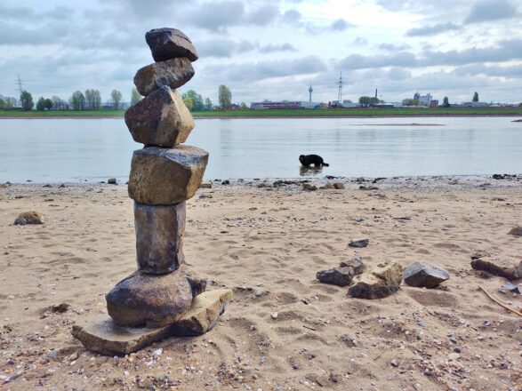 Rhein auf Frühjahrstiefstand