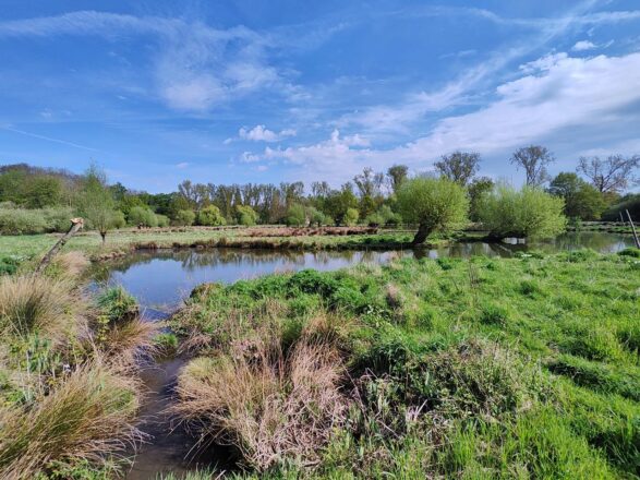Frühling auf Hombroich