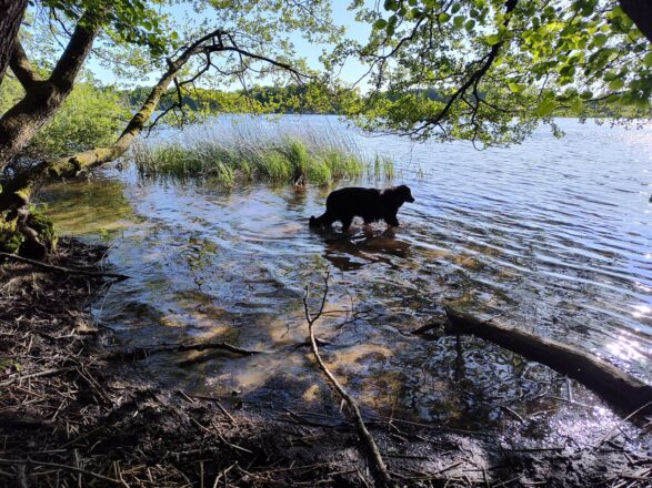 Westerwälder Seenplatte
