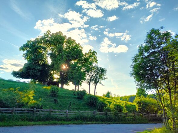 Abendwanderung zur Weininsel