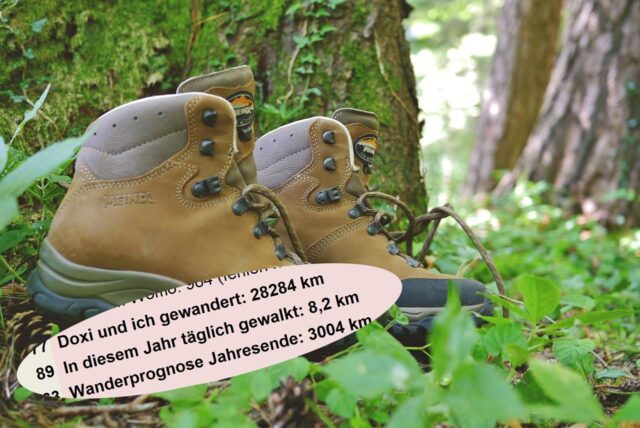 Wieder auf Kurs 3.000