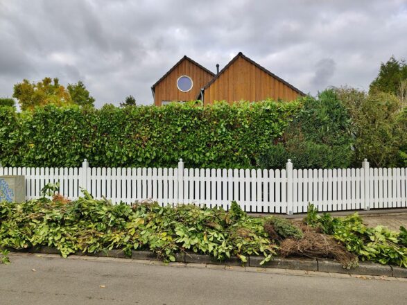 Der alte Mann und die Hecke