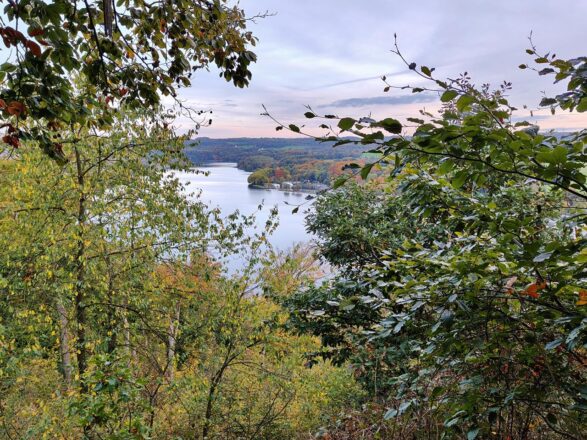 Stadtwald und Baldeneysteig