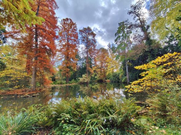 Herbststurm über Hombroich