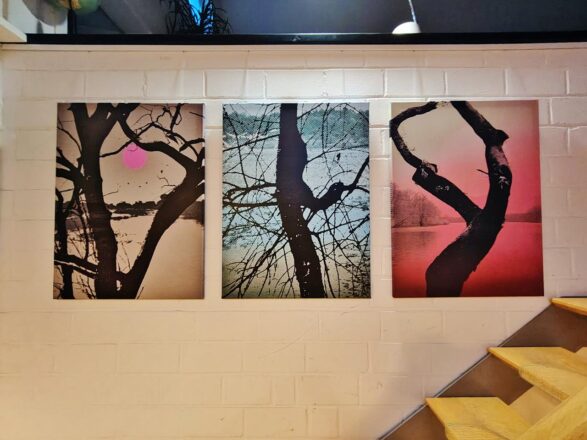 Der Herbst wird aufgehangen