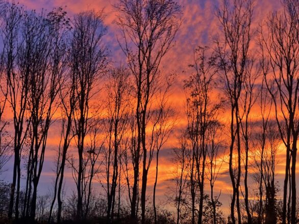 Löwenburg und Einsiedlertal