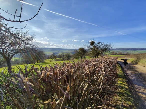 Wanderung rund um Epen